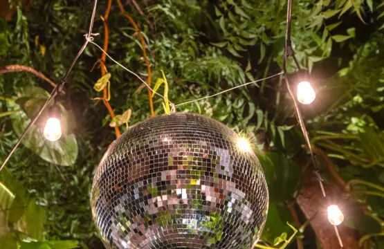 2a82240d 5a2f 4c07 a8a3 3d39e7d2c418