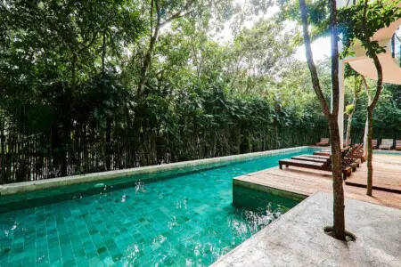 596e8d1e 1071 4903 9219 a9d1fcad280c