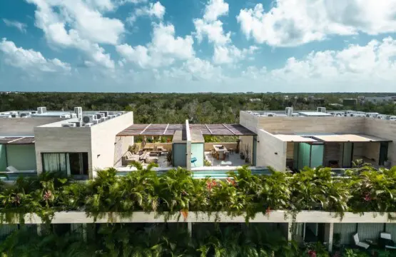 79bfe6da cea9 4ba7 966d 1cf3fda3744f