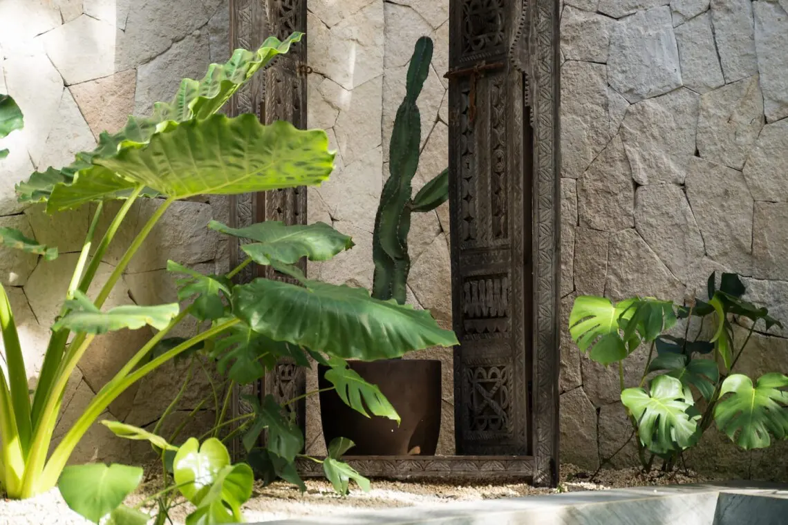 c574da12 7bd3 4d09 a992 85dff3a11f8b