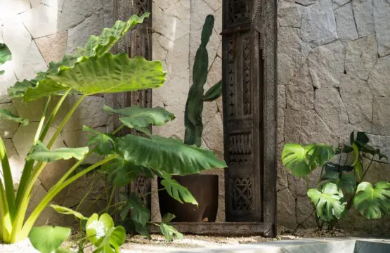 c574da12 7bd3 4d09 a992 85dff3a11f8b