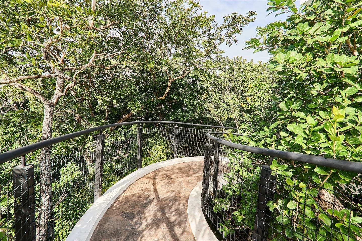 6e988b98 f1c1 4af0 bb0f b1e2f15fc37c